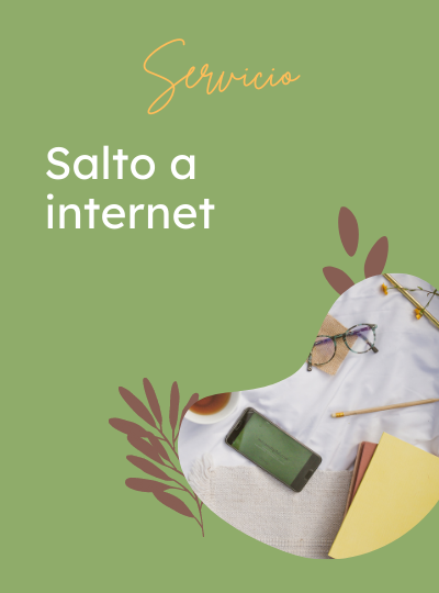 Servicio-salto-internet